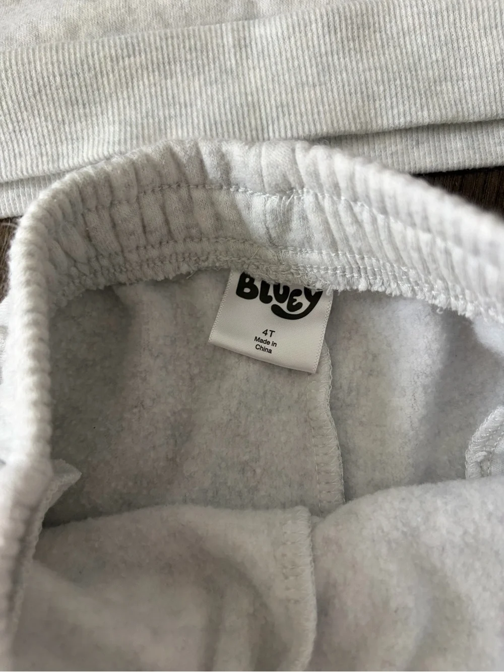 Bluey Sweatshirt and Jogger Set